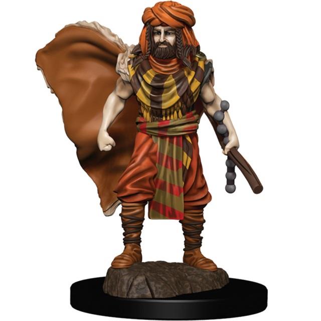 DnD  - Human Druid Male - Icons of the Realms Premium DnD Figur